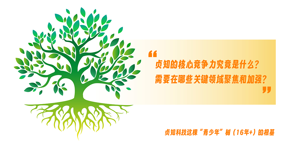 深挖核心竞争力，明确关键聚焦点